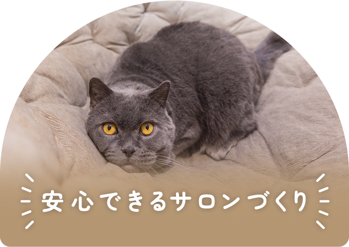 安心できるサロンづくり